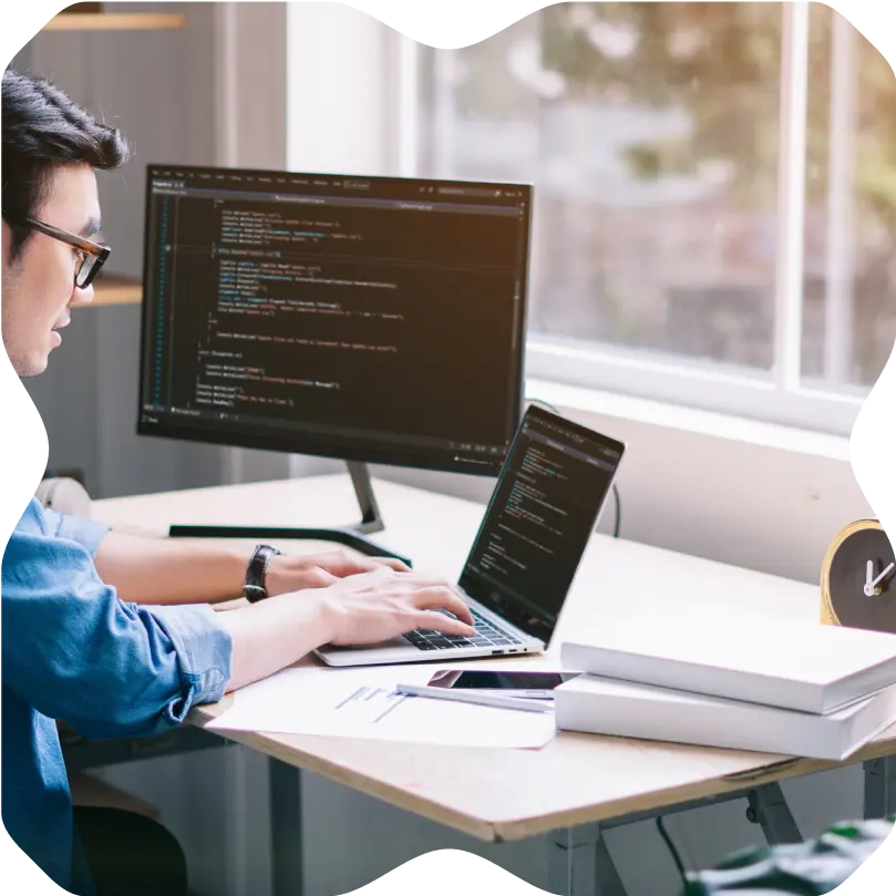 IT Software & Infrastructure